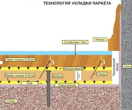 Укладка паркета на фанеру на бетонном основании